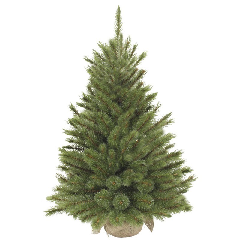 Location Sapin de Noël pour vos événements à Lille et à Paris